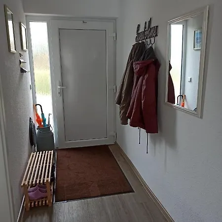 Loewenzahn