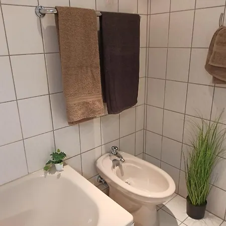 Loewenzahn *