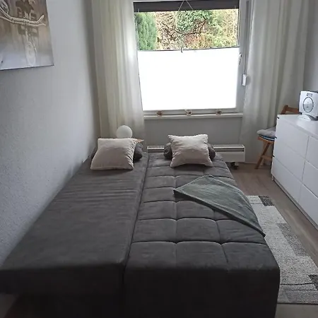 Loewenzahn * Bad Harzburg